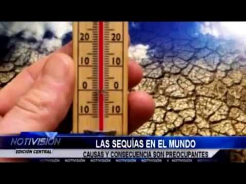 21 04 14 Las Sequias en el Mundo Causas y Consecuencias son Preocupantes