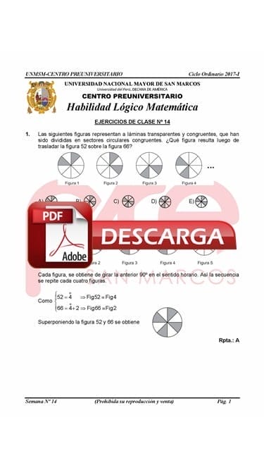 Semana 14 Pre San Marcos 2017-I.JPG
